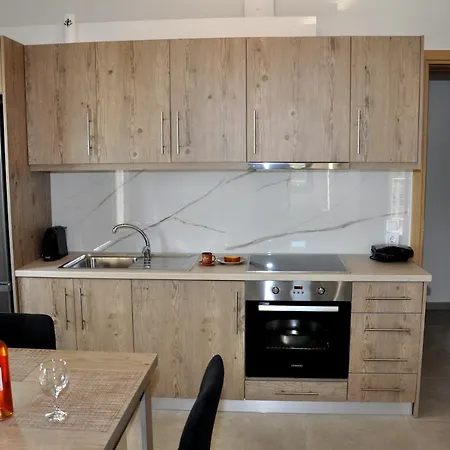 Alkioni's Nest Apartment Arkoudi